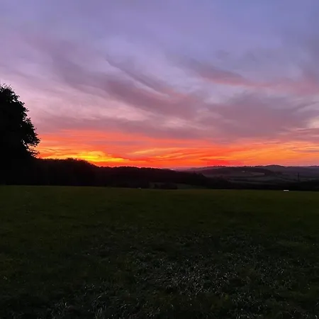 Waldblick *