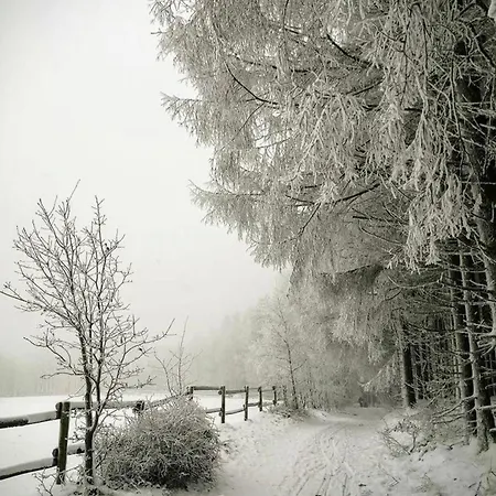 Waldblick - A88768 *