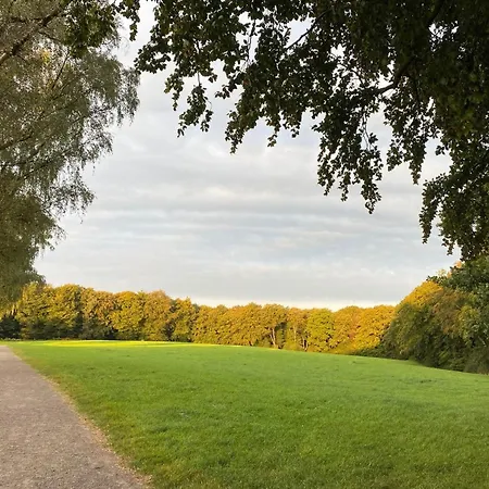 Waldblick *